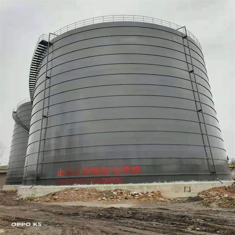 雷州3万吨大型钢板库